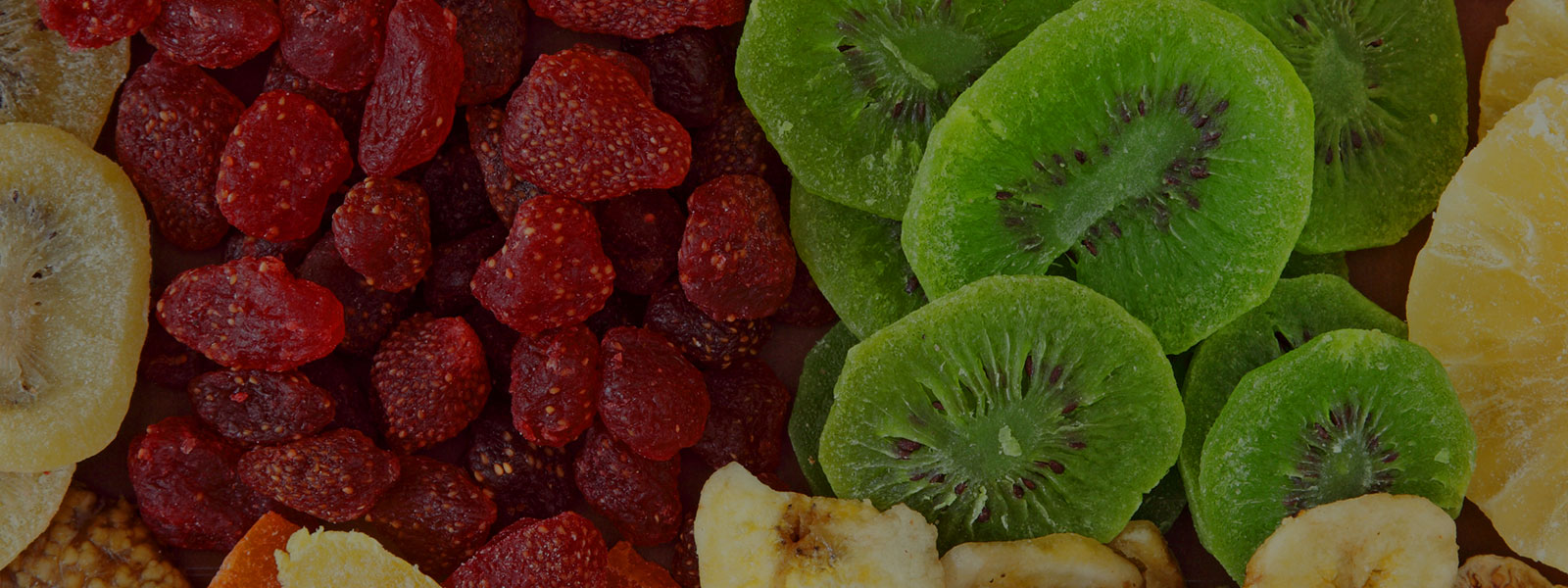Food Dehydrators Online Dried Fruit